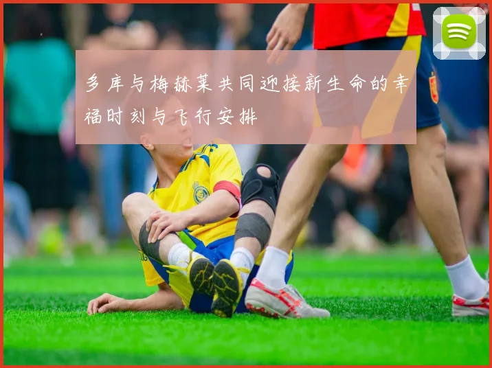 多库与梅赫莱共同迎接新生命的幸福时刻与飞行安排